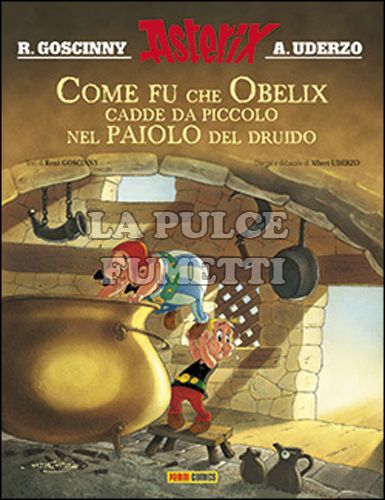 ASTERIX: COME FU CHE OBELIX CADDE DA PICCOLO NEL PAIOLO DEL DRUIDO